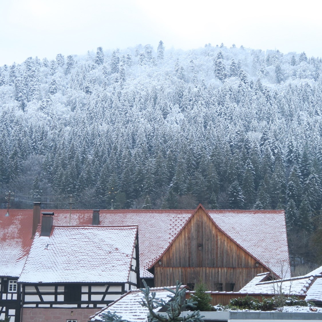 Podcast - Episodio 9